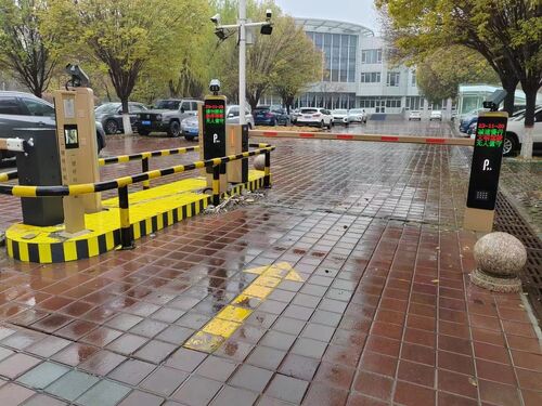 son şirket davası hakkında E40Pro Barrier Gate | Enterprise Park in Rainy Region